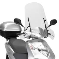 Parabrezza GIVI 102A