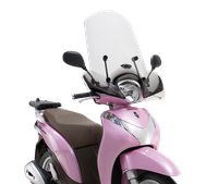 Parabrezza windscreen 002 GIVI 1125A