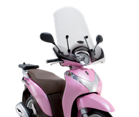 Parabrezza windscreen 002 GIVI 1125A
