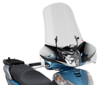 Parabrezza GIVI 308A
