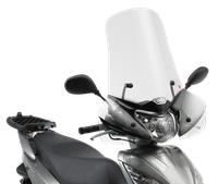 Parabrezza GIVI 308A