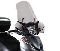 Parabrezza GIVI 308A