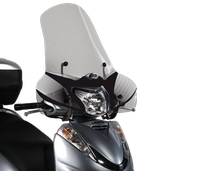Parabrezza GIVI 308A