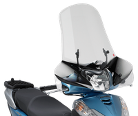 Parabrezza GIVI 308A