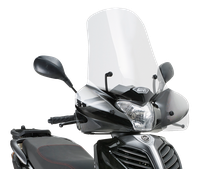Parabrezza GIVI 308A