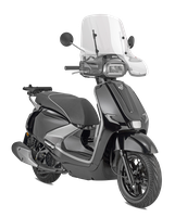 7073A parabrezza specifico per SYM Fugue 125 (25)