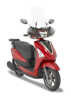 Attacco Specifico GIVI A2134A montato con 308A su Yamaha D'elight 125 (17)