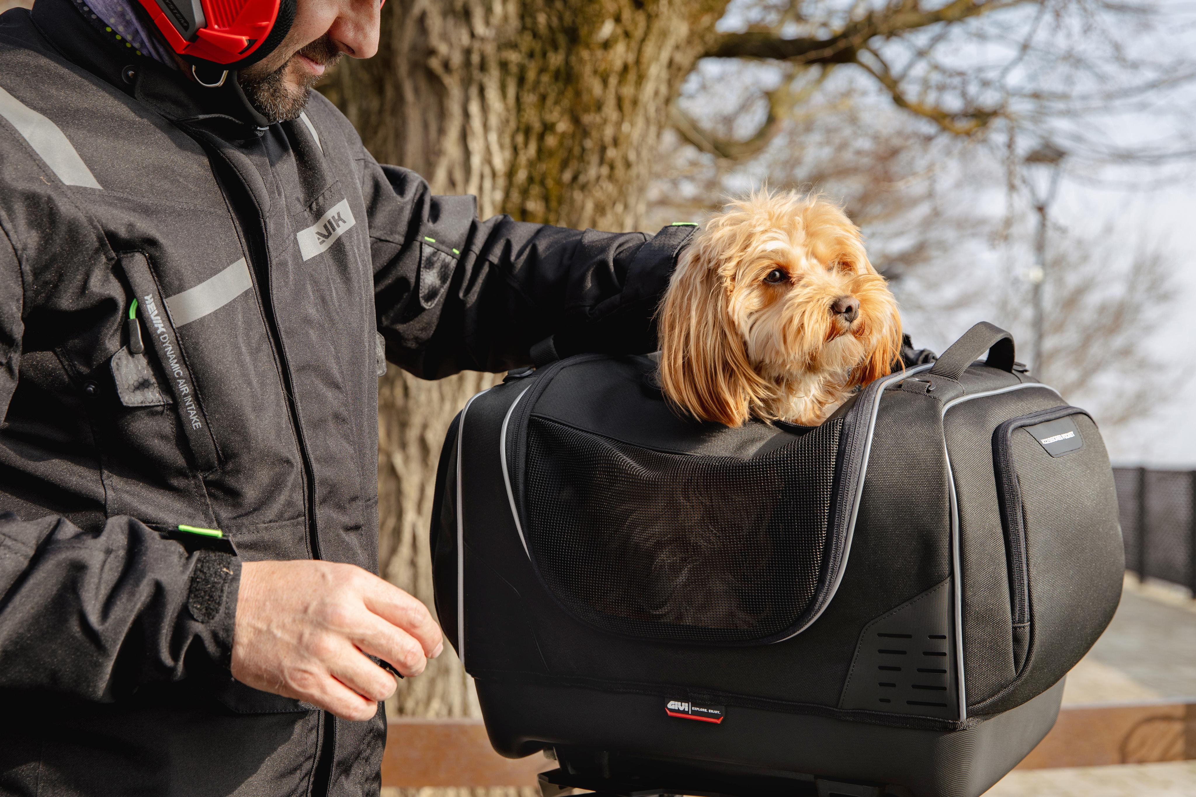 BMW R 1300 GS (24) Pet Bag 01 allestita con T525