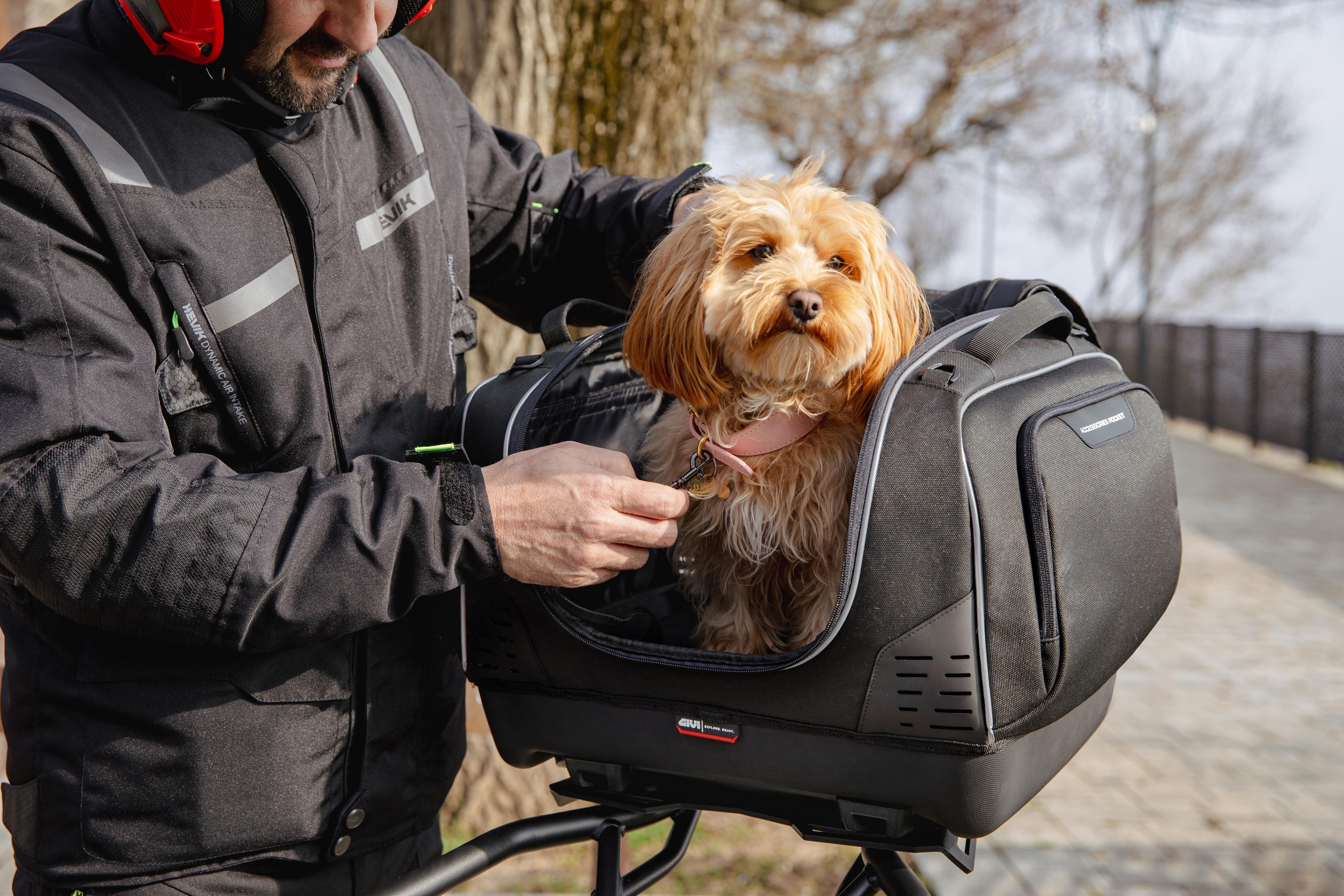 BMW R 1300 GS (24) Pet Bag 02 allestita con T525