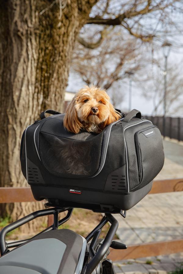 BMW R 1300 GS (24) Pet Bag 03 equipped with T525