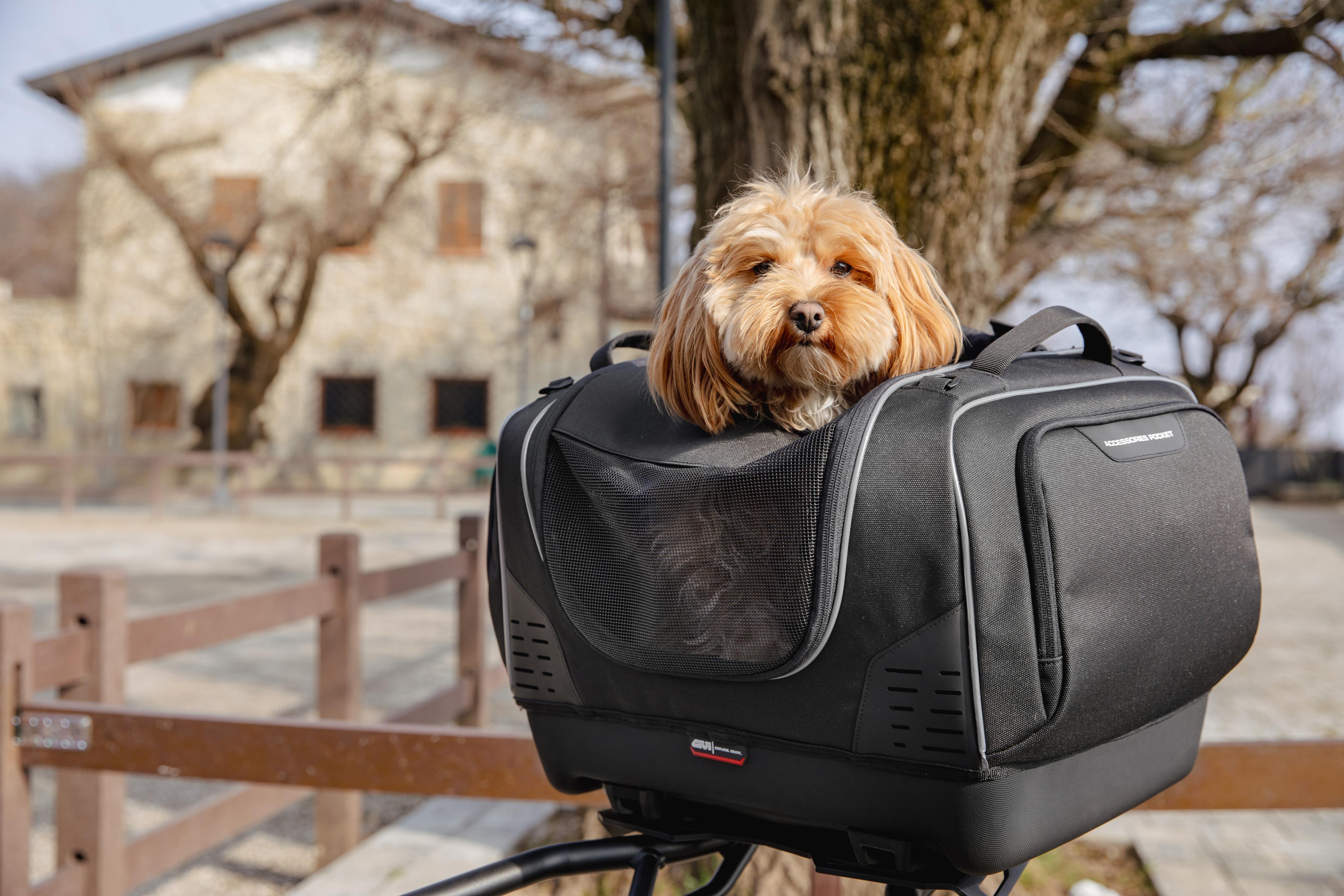 BMW R 1300 GS (24) Pet Bag 04 allestita con T525