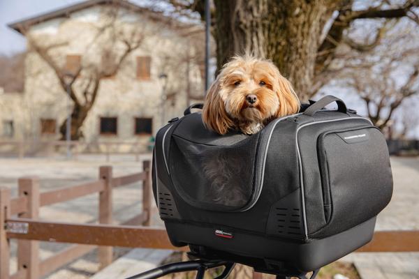 BMW R 1300 GS (24) Pet Bag 04 equipped with T525