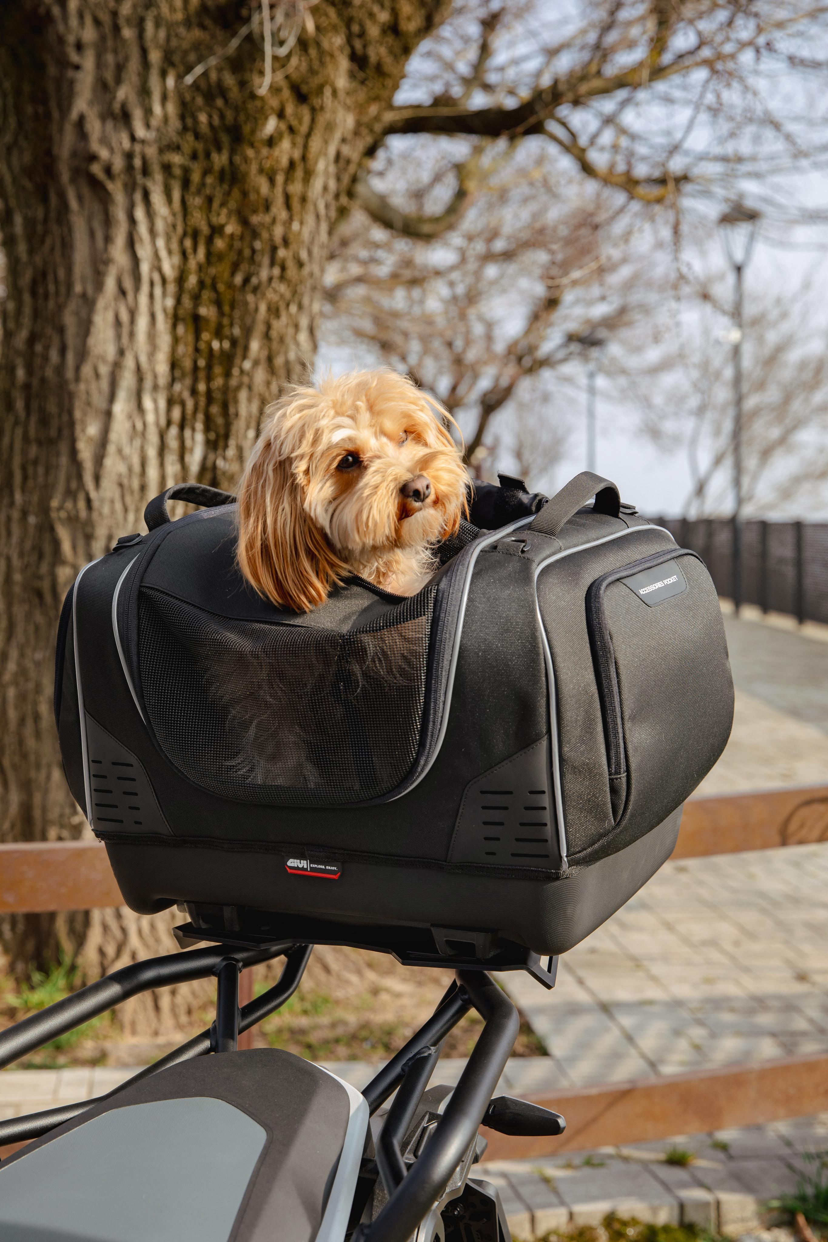 BMW R 1300 GS (24) Pet Bag 05 allestita con T525
