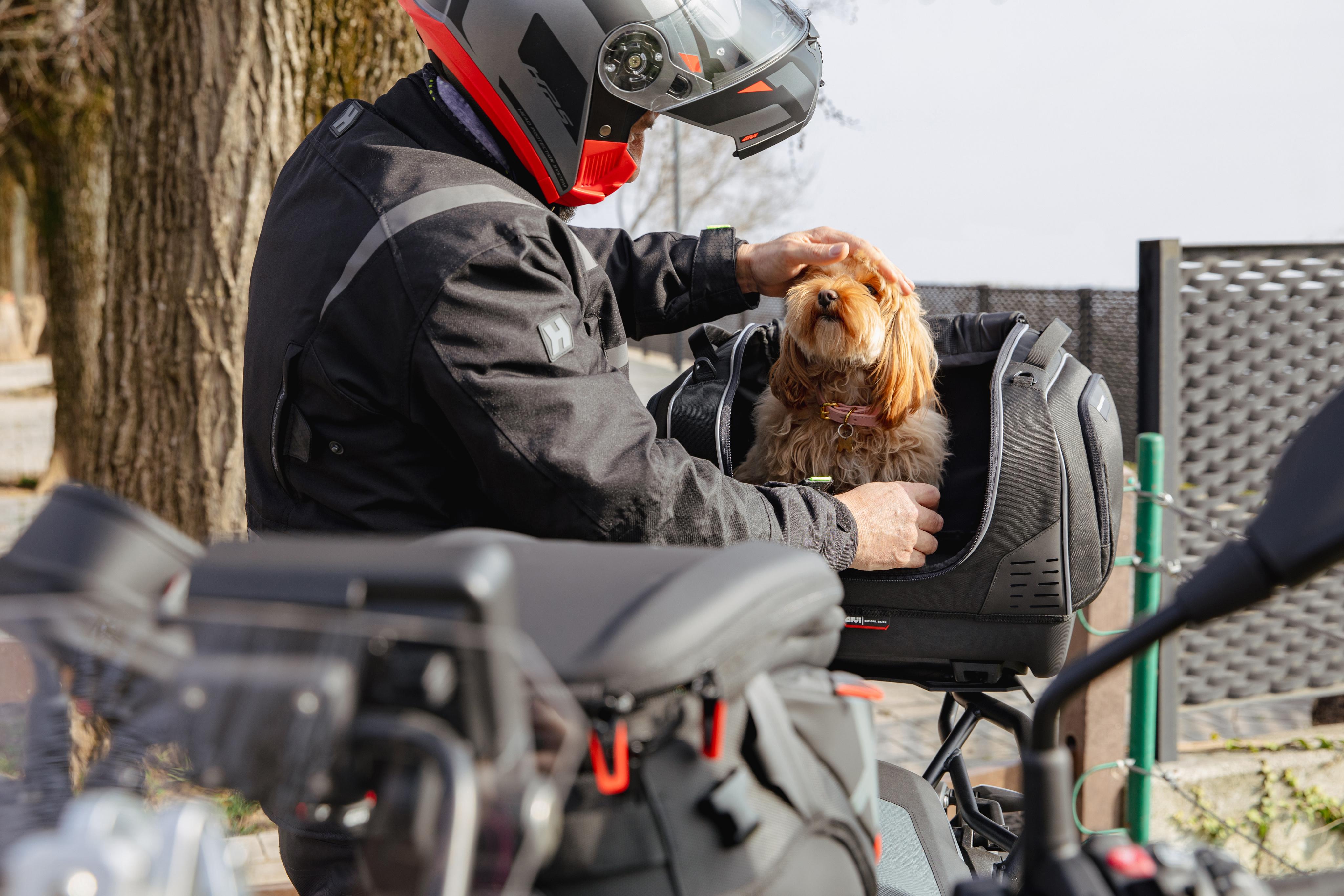 BMW R 1300 GS (24) Pet Bag 06 allestita con T525