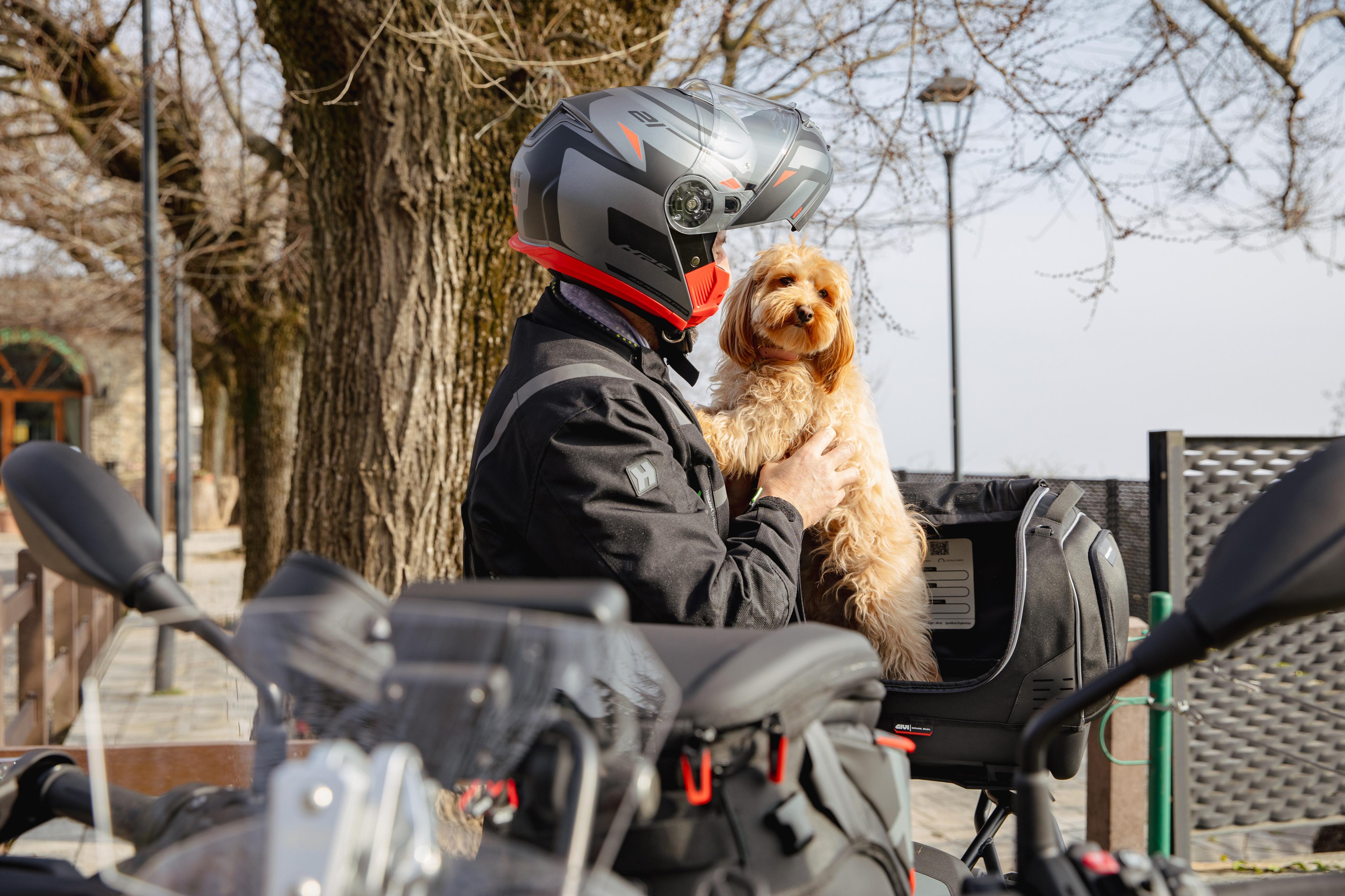 BMW R 1300 GS (24) Pet Bag 07 equipped with T525