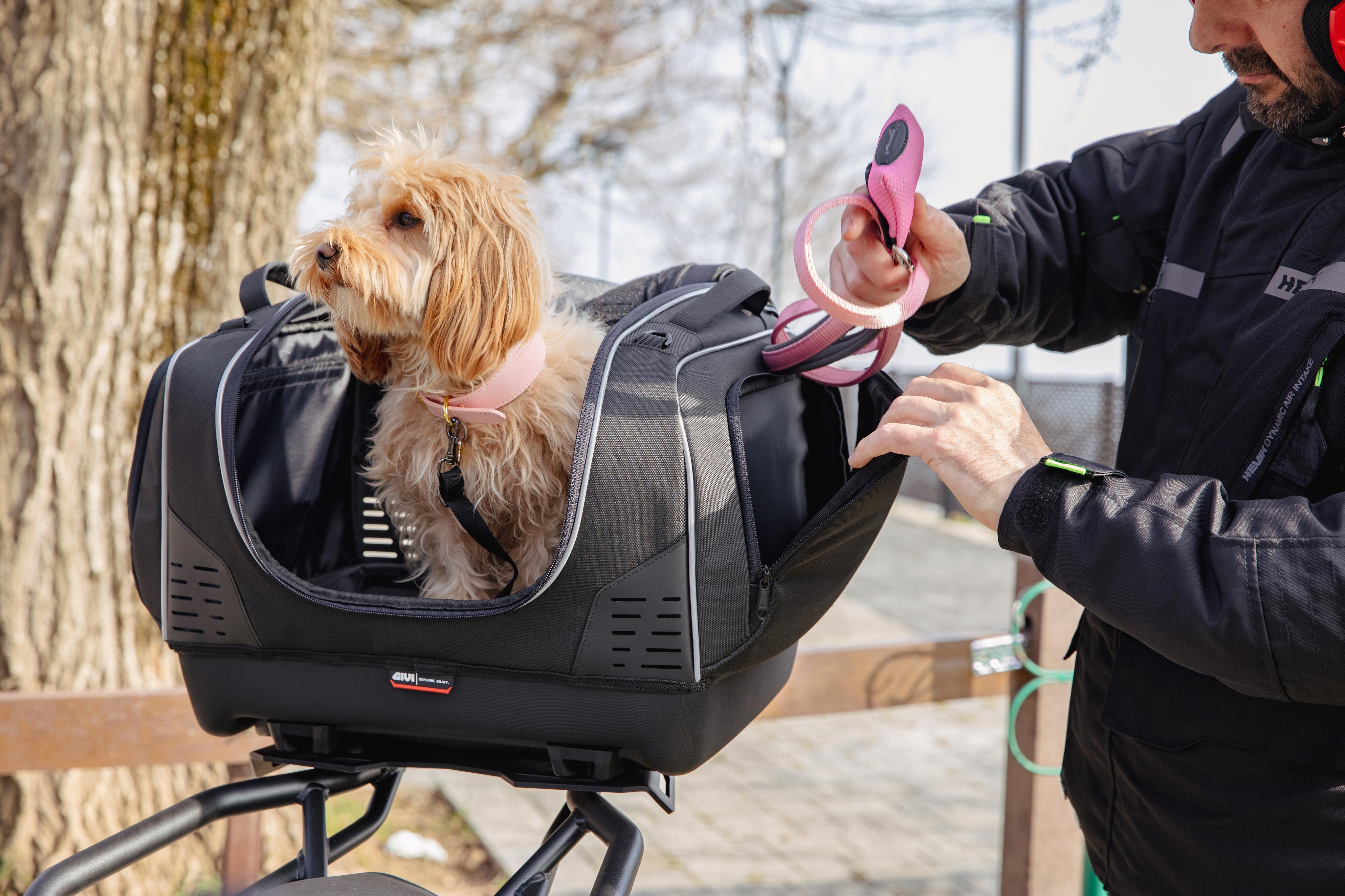 BMW R 1300 GS (24) Pet Bag 08 equipped with T525