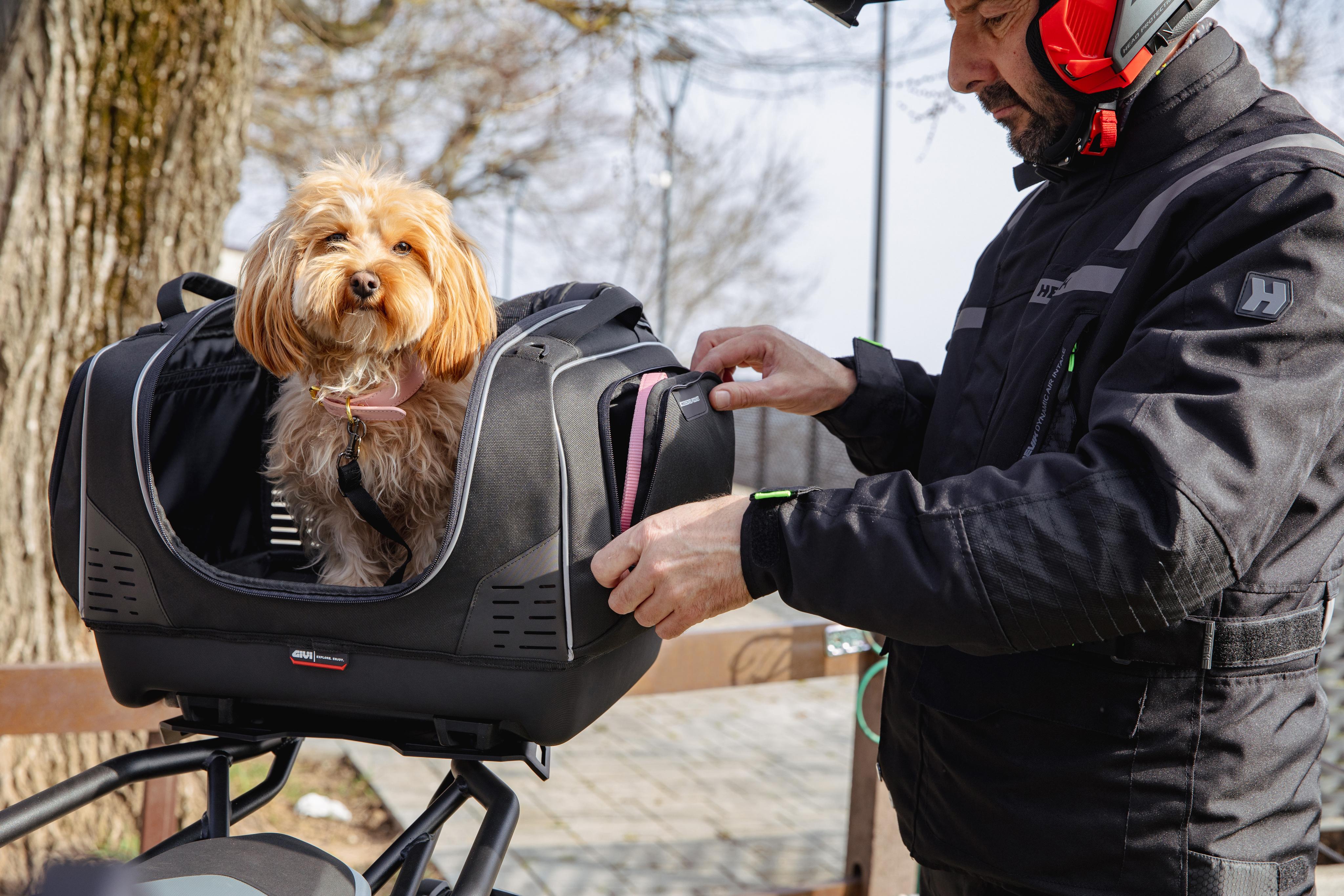 BMW R 1300 GS (24) Pet Bag 09 equipped with T525
