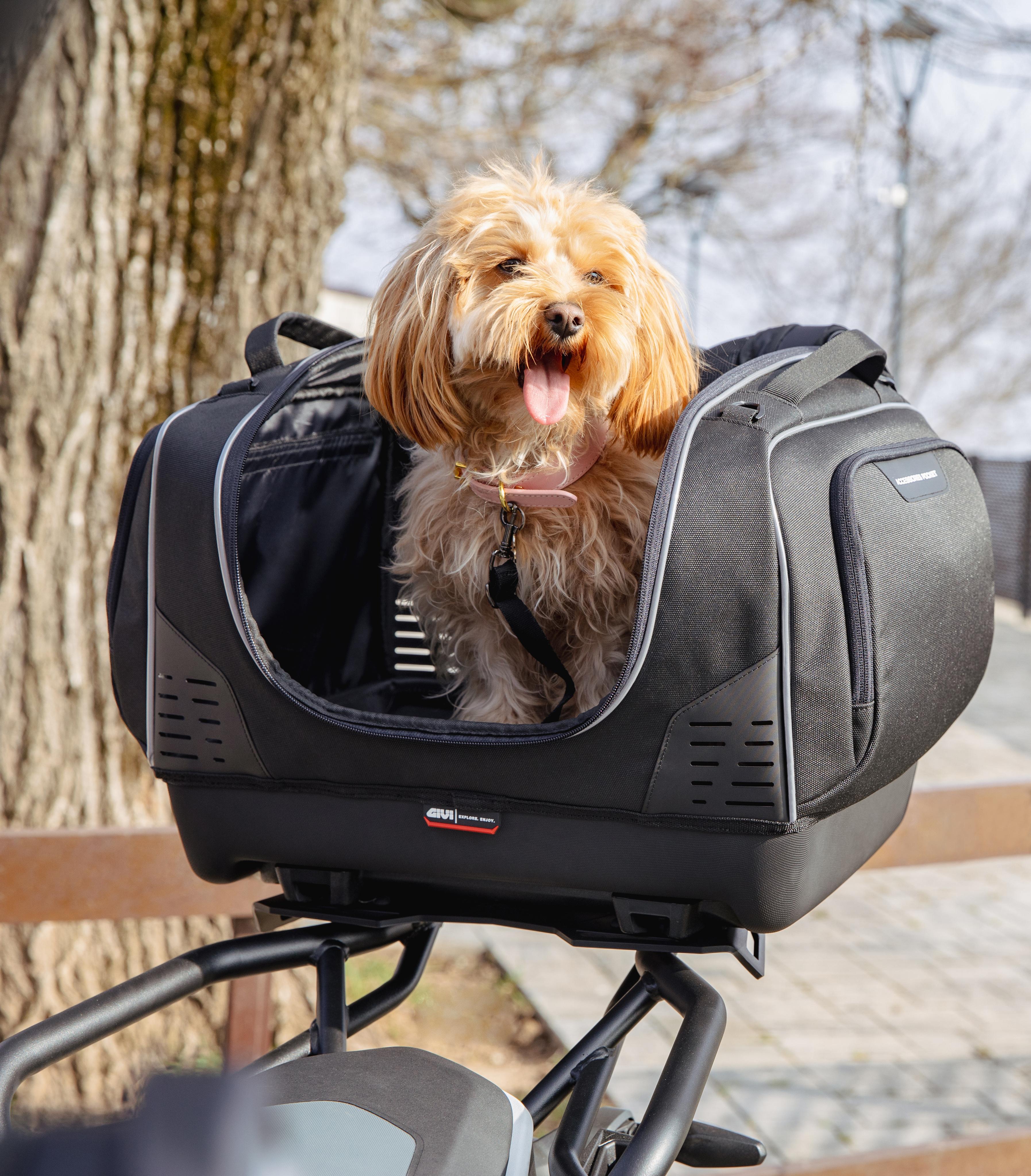 BMW R 1300 GS (24) Pet Bag 10 allestita con T525