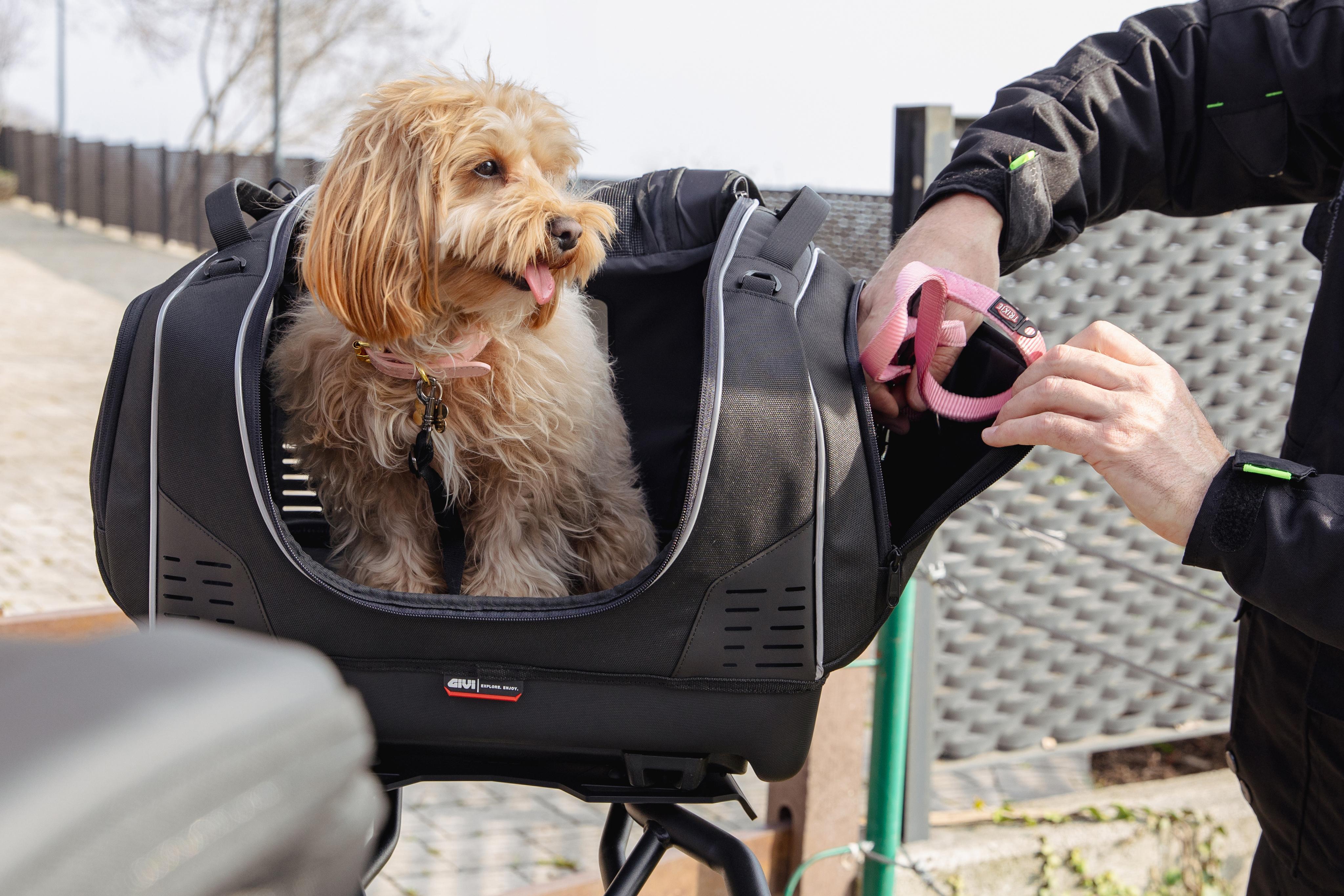 BMW R 1300 GS (24) Pet Bag 11 equipped with T525