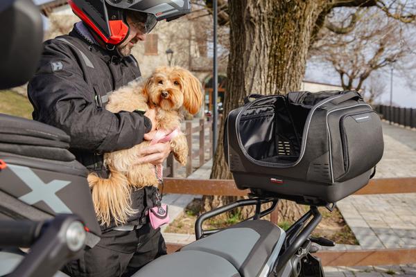 BMW R 1300 GS (24) Pet Bag 12 equipped with T525