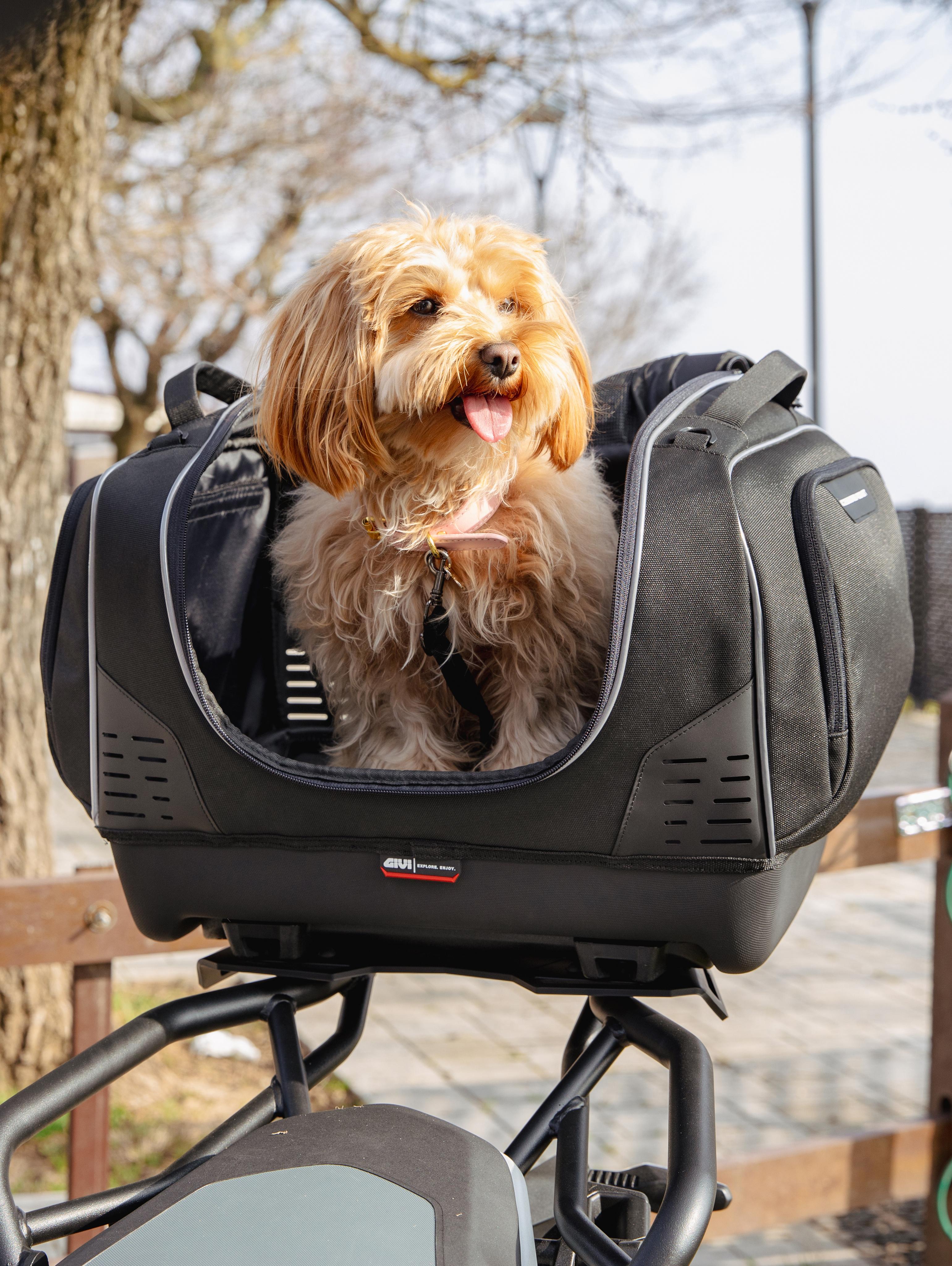 BMW R 1300 GS (24) Pet Bag 18 equipped with T525