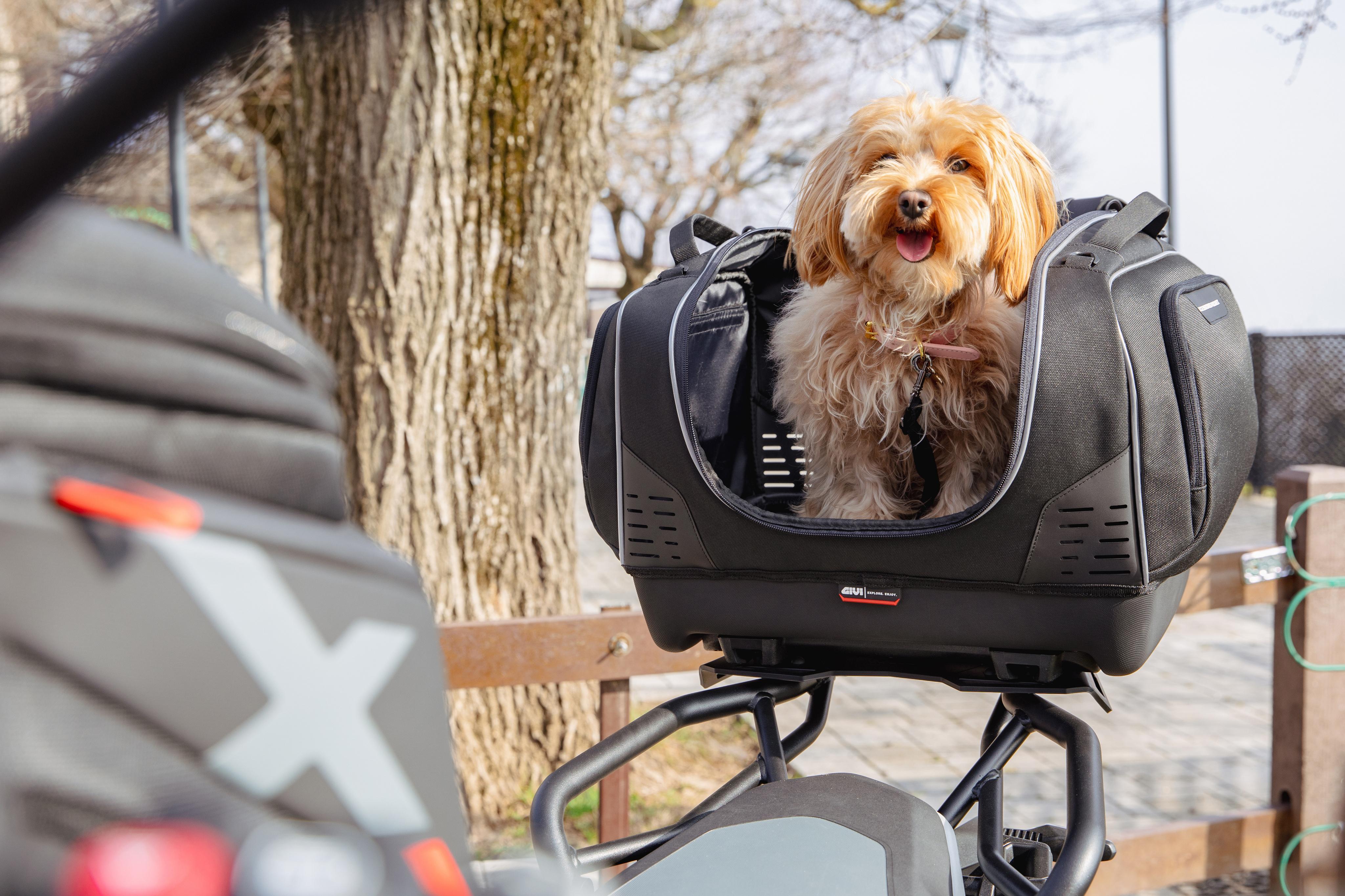 BMW R 1300 GS (24) Pet Bag 19 equipped with T525