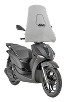 GWC001 Windshield protection
