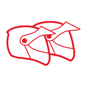 Icona GIVI Rossa: ico_capacity_2_touring_h_red.svg