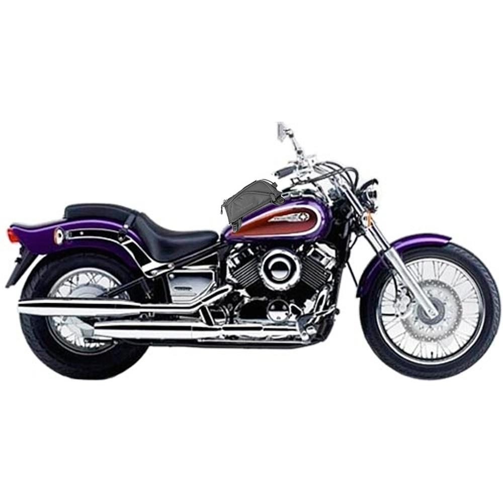 Allestimento GIVI su Yamaha XVS 650 Drag Star (97) lato